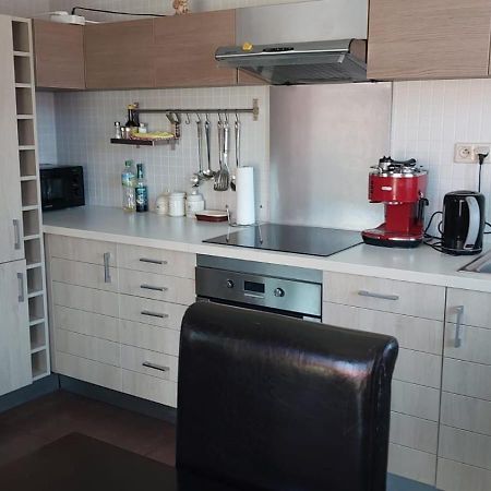 Apartament Sloneczna Skarpa Rabka-Zdrój Dış mekan fotoğraf